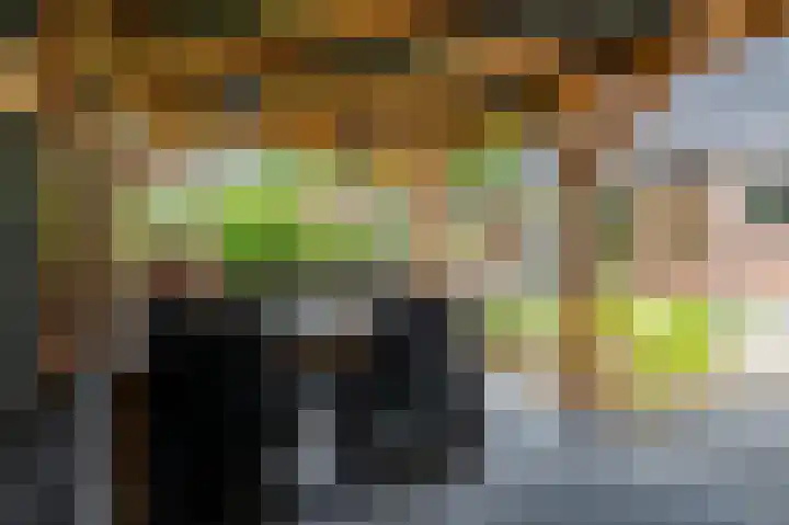 Schulte Alinghlaan 12 Gasselte thumbnail 32