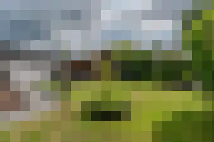 Schulte Alinghlaan 12 Gasselte thumbnail 36