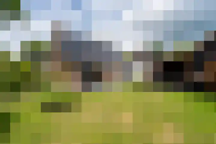 Schulte Alinghlaan 12 Gasselte thumbnail 37