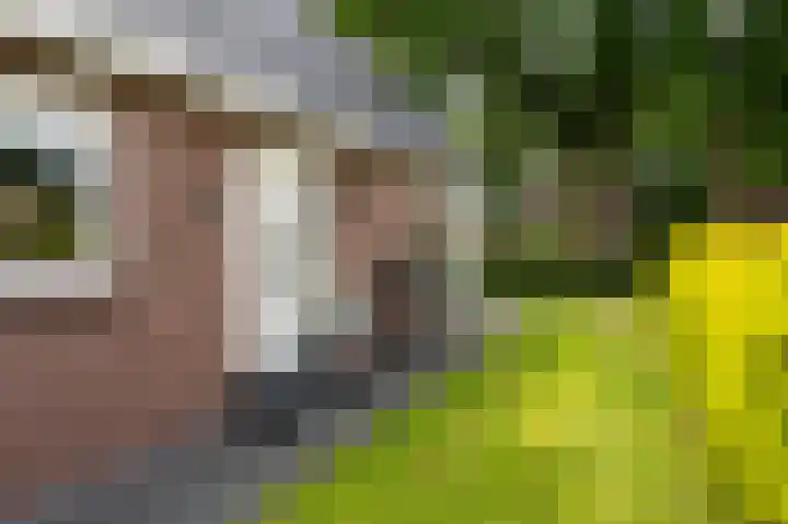 Schulte Alinghlaan 12 Gasselte thumbnail 38