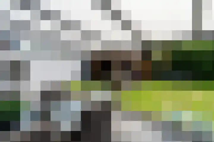 Schulte Alinghlaan 12 Gasselte thumbnail 4