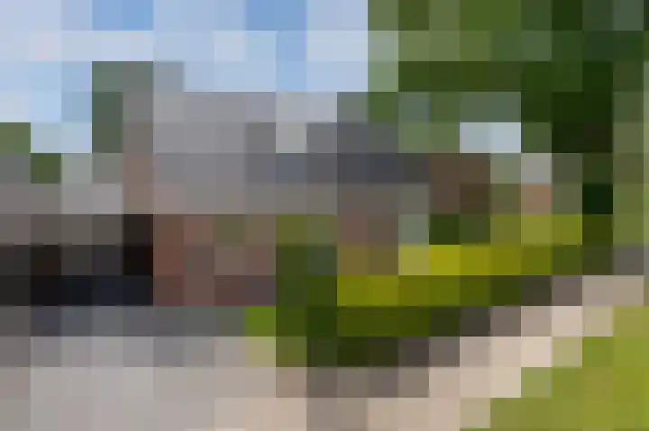 Schulte Alinghlaan 12 Gasselte thumbnail 40
