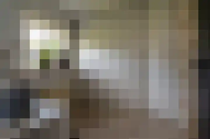 Schulte Alinghlaan 12 Gasselte thumbnail 9