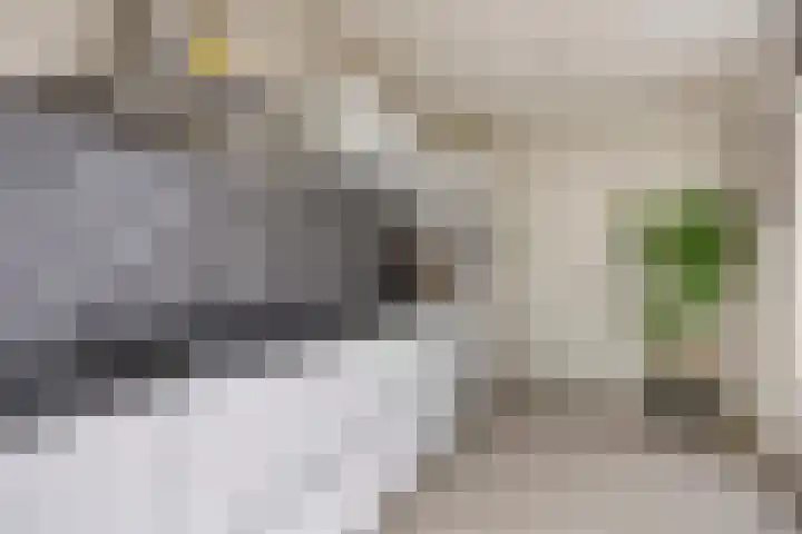 Schultelaan 12 Roden thumbnail 16