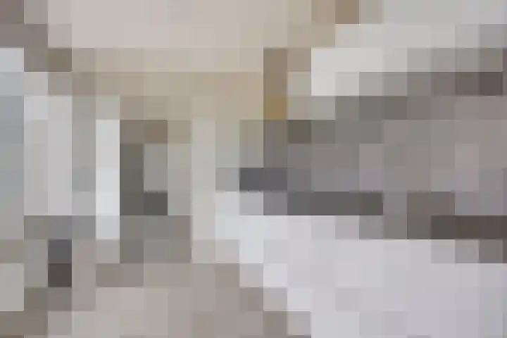 Schultelaan 12 Roden thumbnail 17