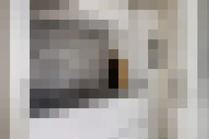 Schultelaan 12 Roden thumbnail 18