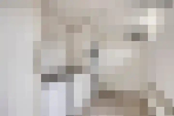 Schultelaan 12 Roden thumbnail 19