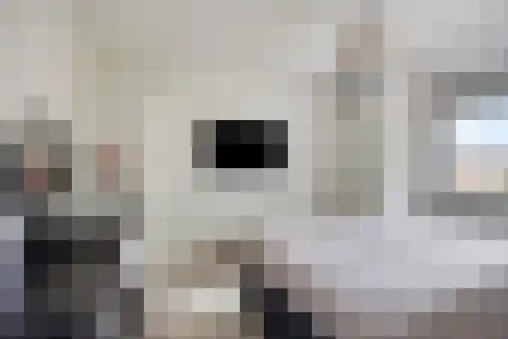 Schultelaan 12 Roden thumbnail 22