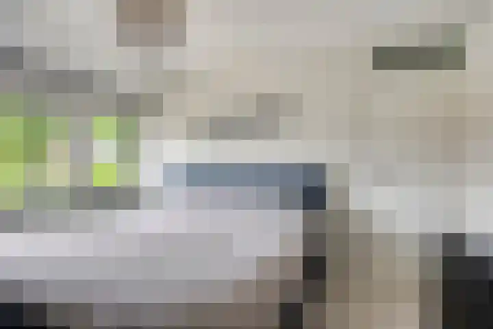 Schultelaan 12 Roden thumbnail 23