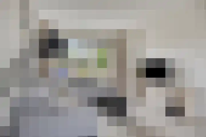 Schultelaan 12 Roden thumbnail 8