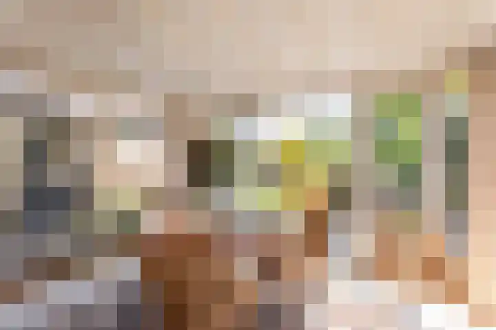 Schultenstraat 17 Albergen thumbnail 13