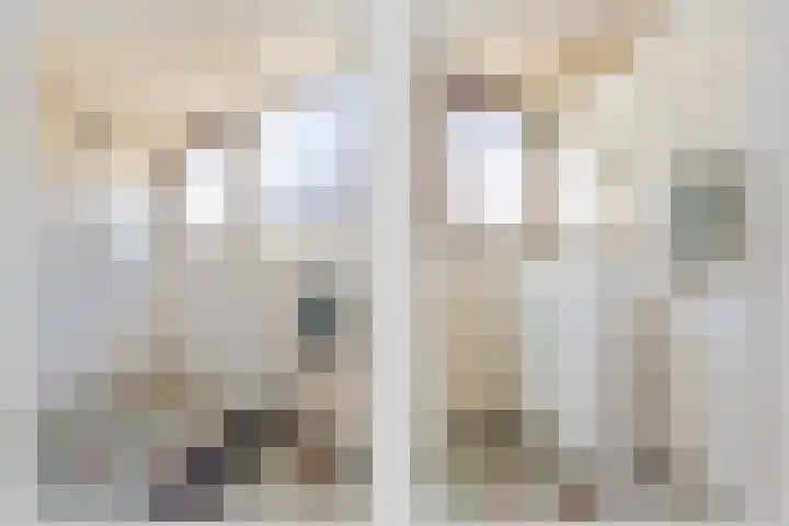Schultenstraat 17 Albergen thumbnail 14