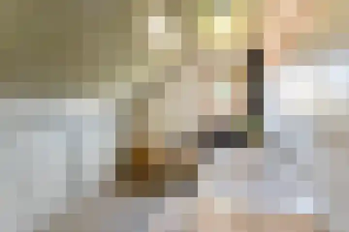 Schultenstraat 17 Albergen thumbnail 15