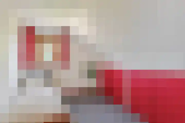 Schultenstraat 17 Albergen thumbnail 17