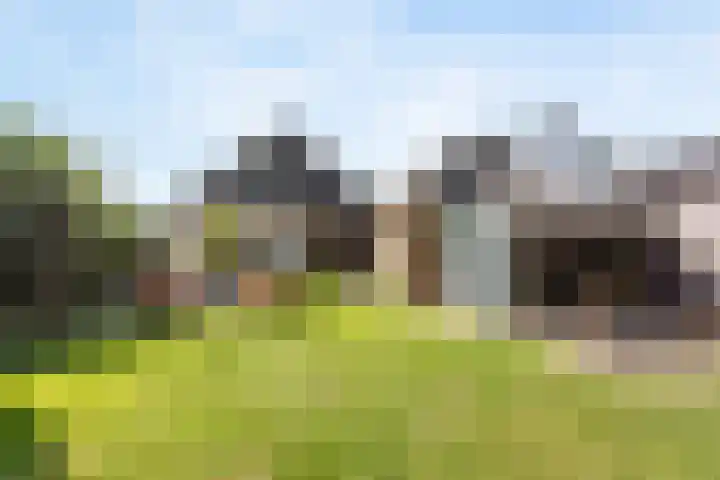 Schultenstraat 17 Albergen thumbnail 18