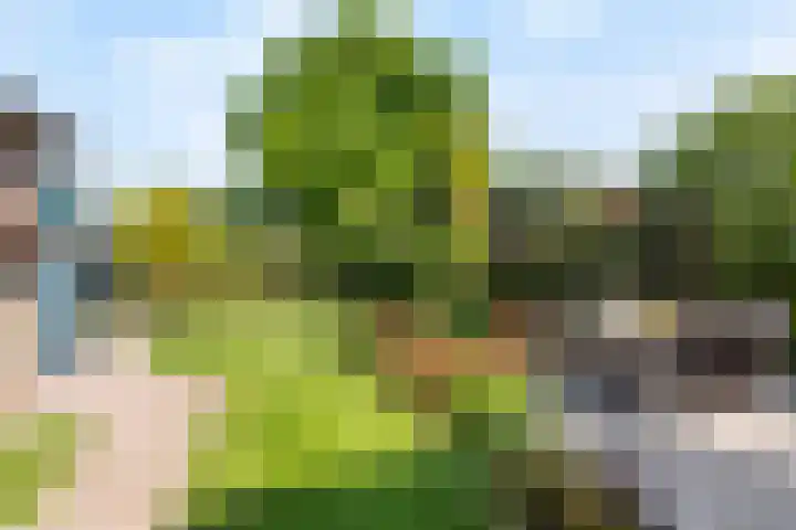 Schultenstraat 17 Albergen thumbnail 19