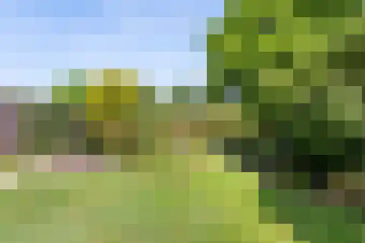 Schultenstraat 17 Albergen thumbnail 20