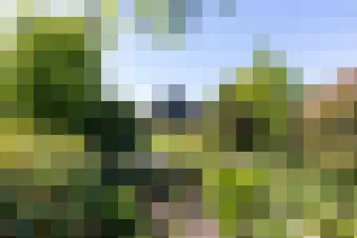 Schultenstraat 17 Albergen thumbnail 21