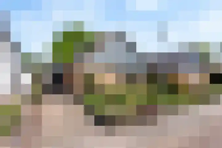 Schultenstraat 17 Albergen thumbnail 5