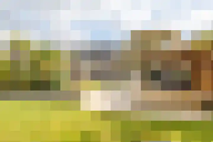 Schultenweg 21 in Eelde