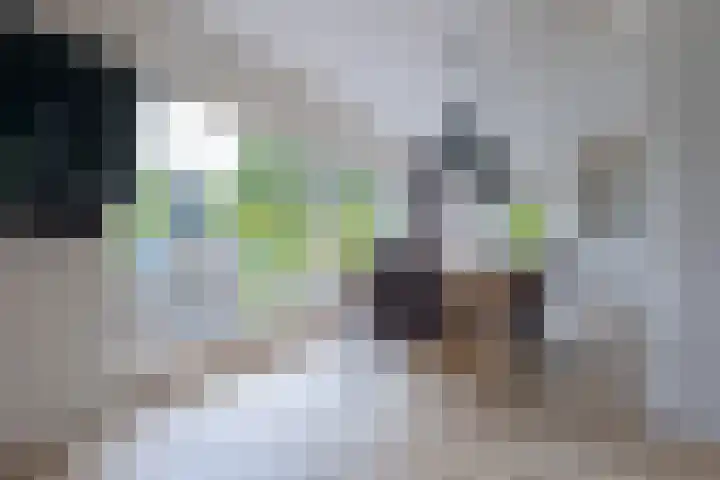 Schultestraat 13 Borger thumbnail 20