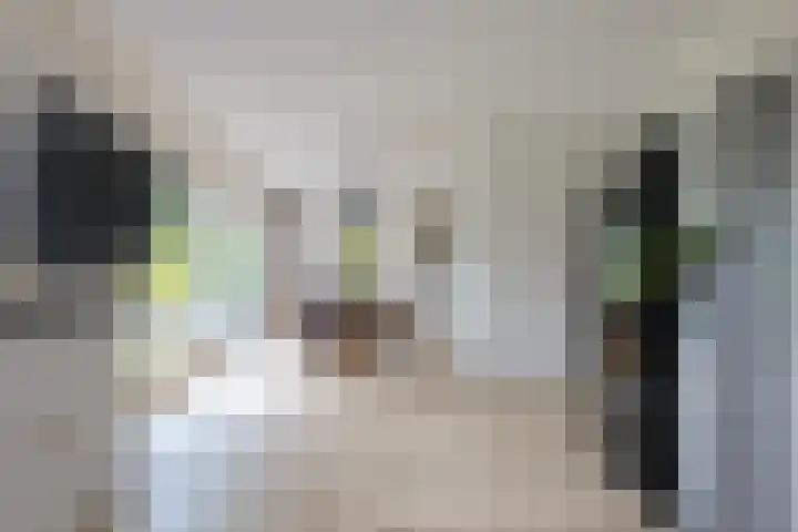 Schultestraat 13 Borger thumbnail 21
