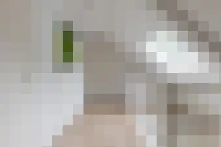 Schultestraat 13 Borger thumbnail 34