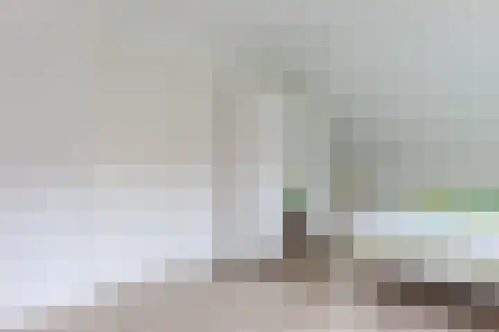 Schultestraat 13 Borger thumbnail 37
