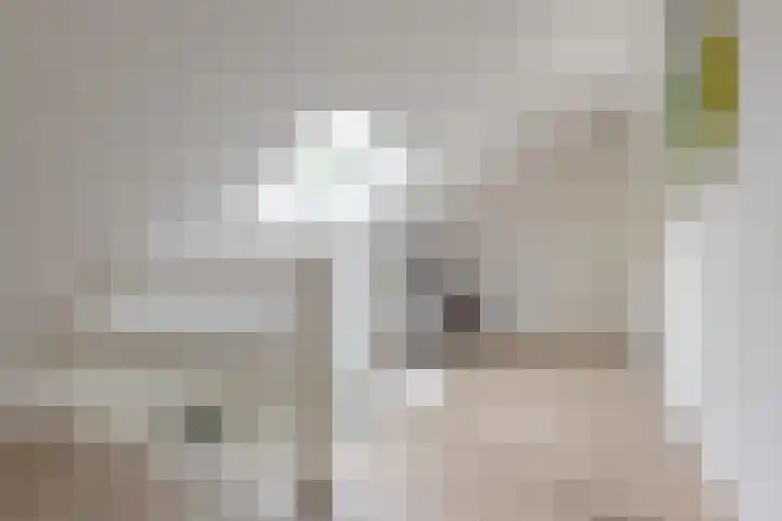 Schultestraat 13 Borger thumbnail 39
