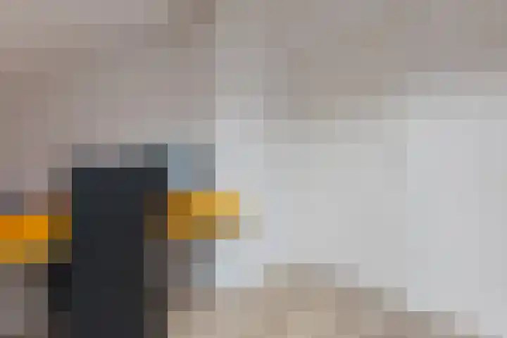 Schultestraat 13 Borger thumbnail 45