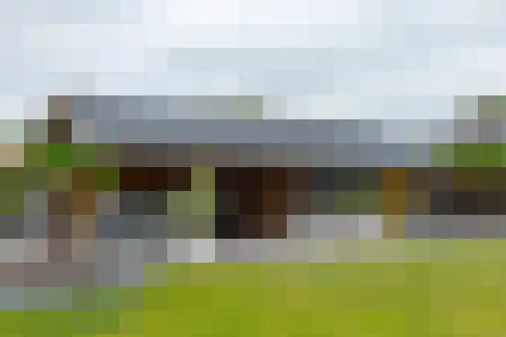 Schultestraat 13 Borger thumbnail 52