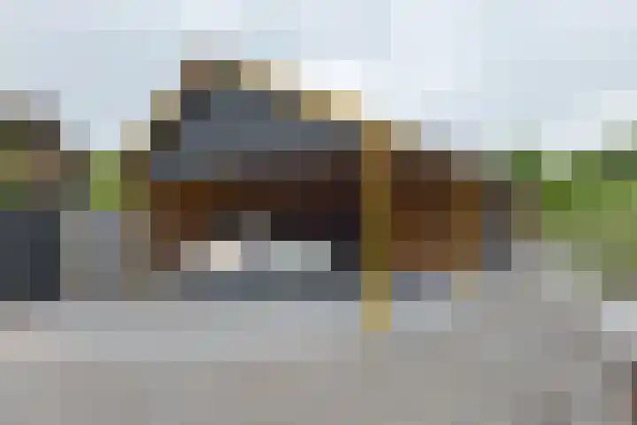 Schultestraat 13 Borger thumbnail 54
