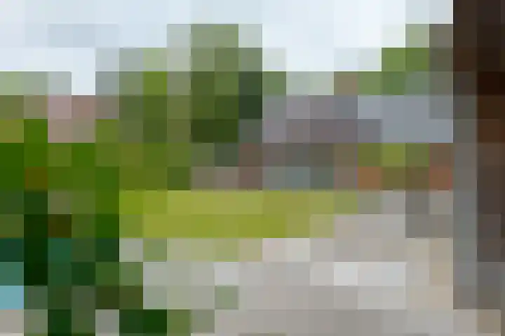 Schultestraat 13 Borger thumbnail 58