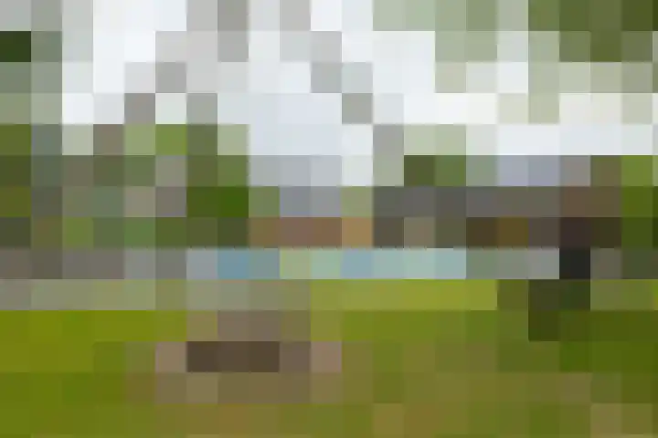 Schultestraat 13 Borger thumbnail 63