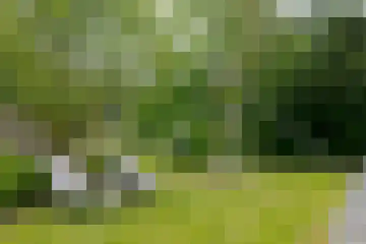 Schultestraat 13 Borger thumbnail 64