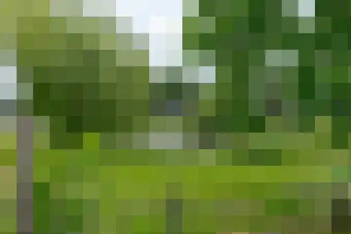 Schultestraat 13 Borger thumbnail 65