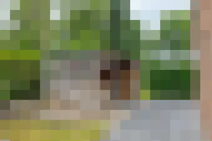 Schultestraat 13 Borger thumbnail 66