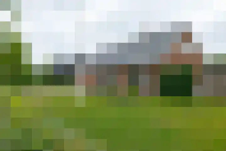 Schultestraat 13 Borger thumbnail 67