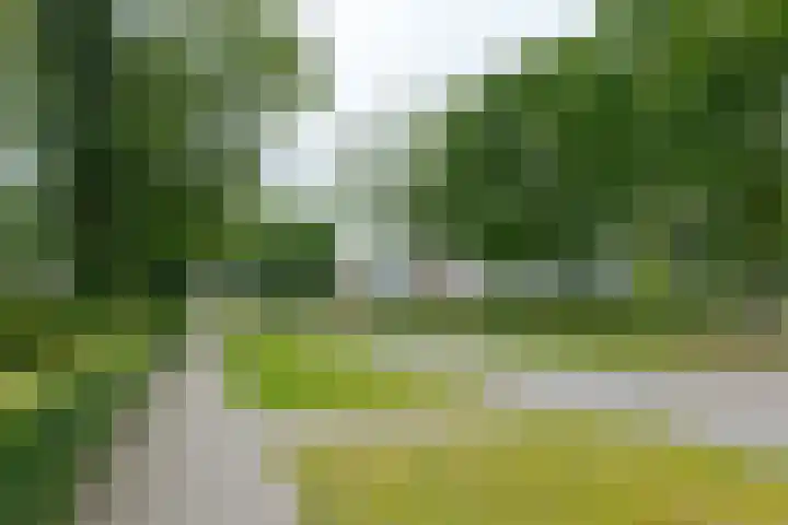 Schultestraat 13 Borger thumbnail 68