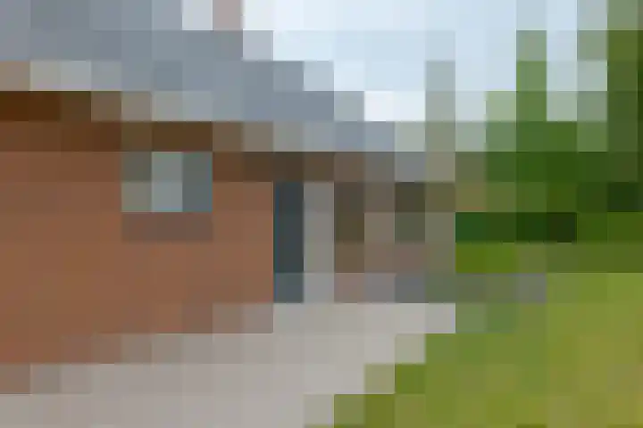 Schultestraat 13 Borger thumbnail 7