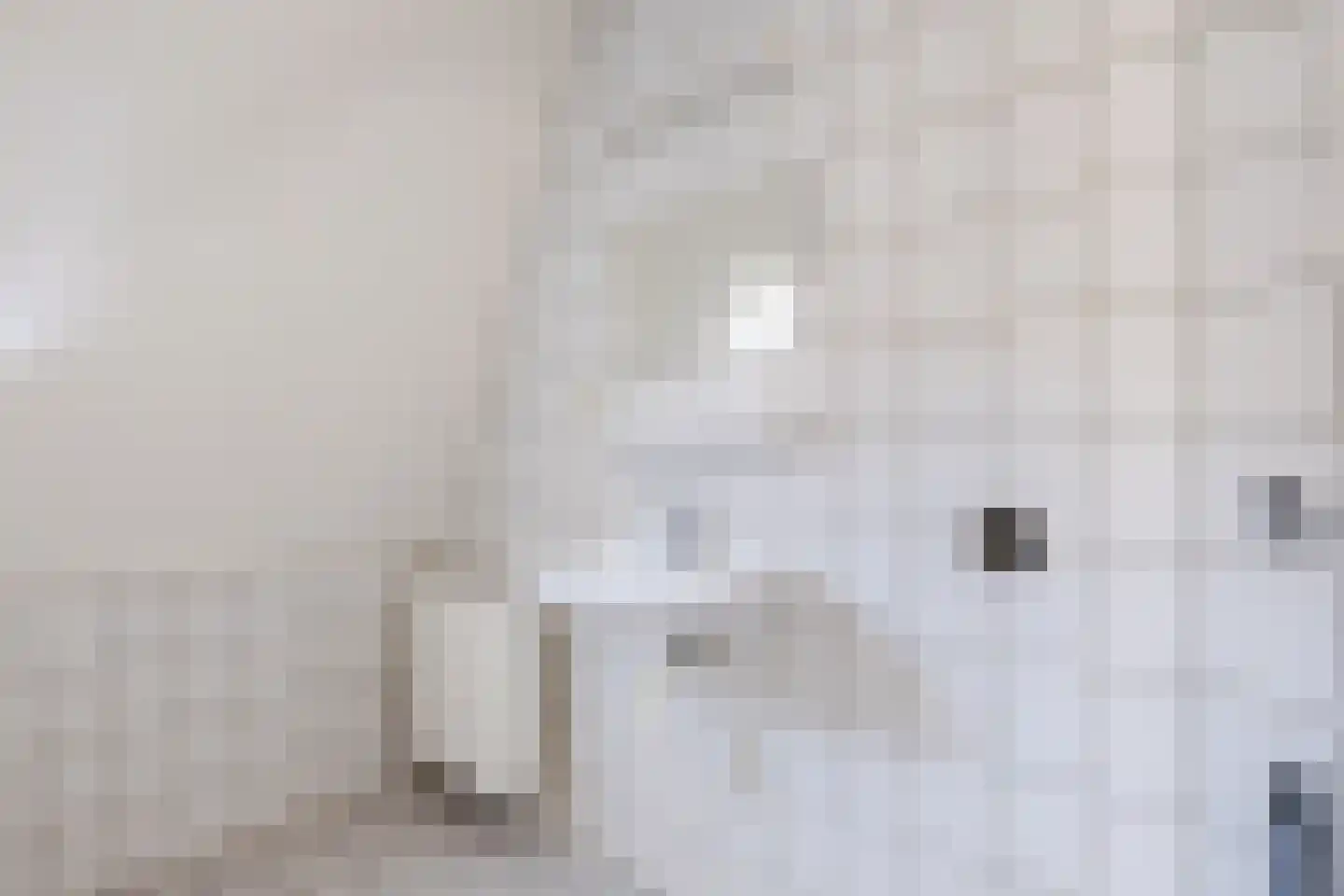 Schultestraat 2 Vries thumbnail 29