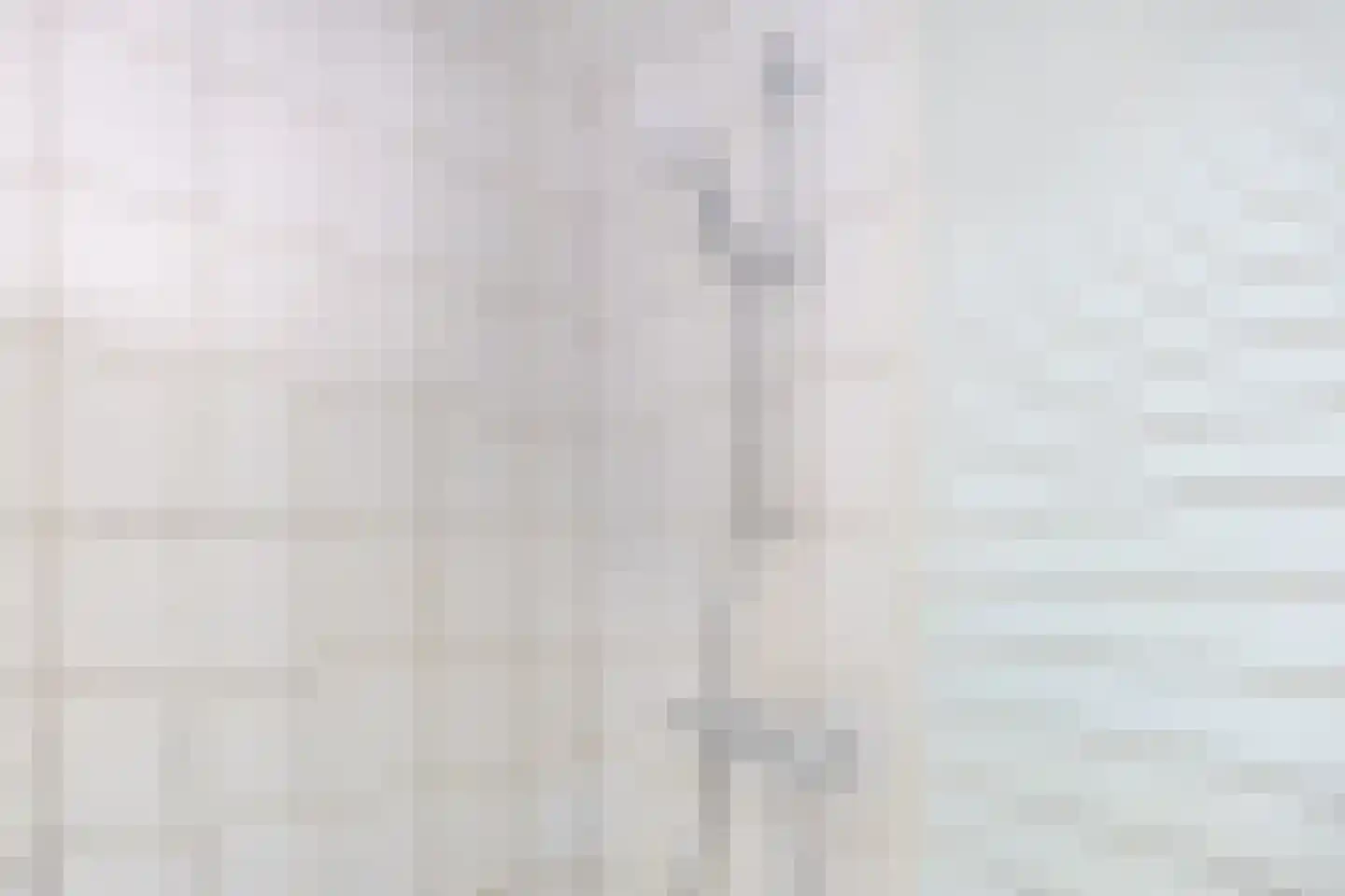 Schultestraat 2 Vries thumbnail 30