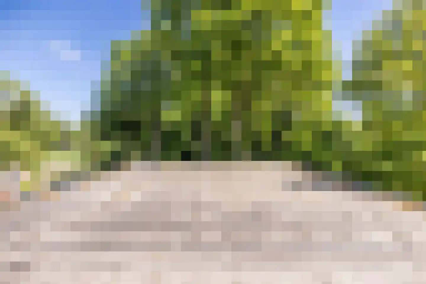 Schultestraat 2 Vries thumbnail 33