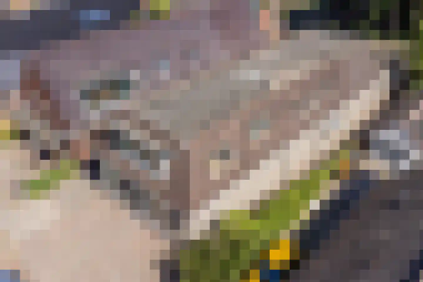Schultestraat 2 Vries thumbnail 4