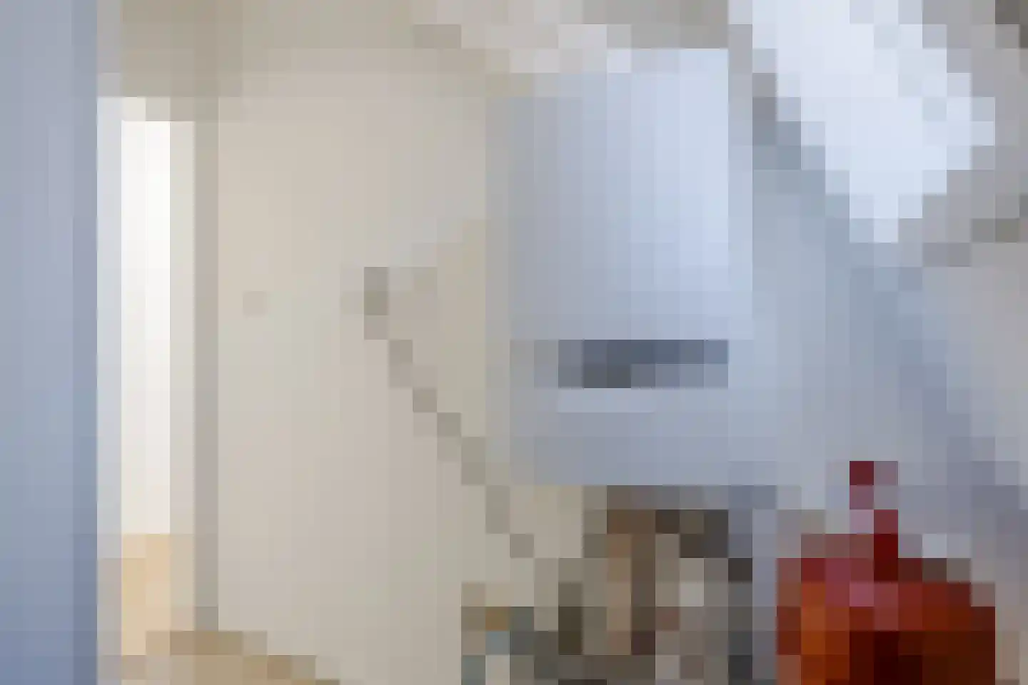 Schultestraat 2 Vries thumbnail 44