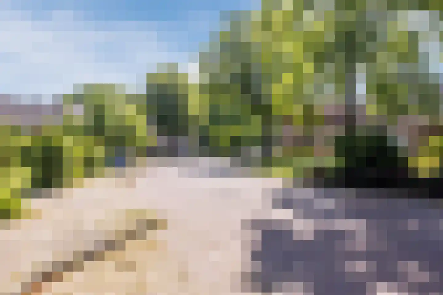 Schultestraat 2 Vries thumbnail 45
