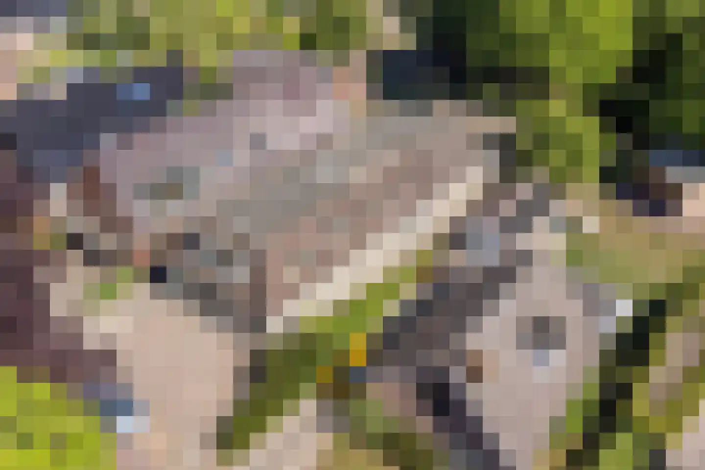 Schultestraat 2 Vries thumbnail 47