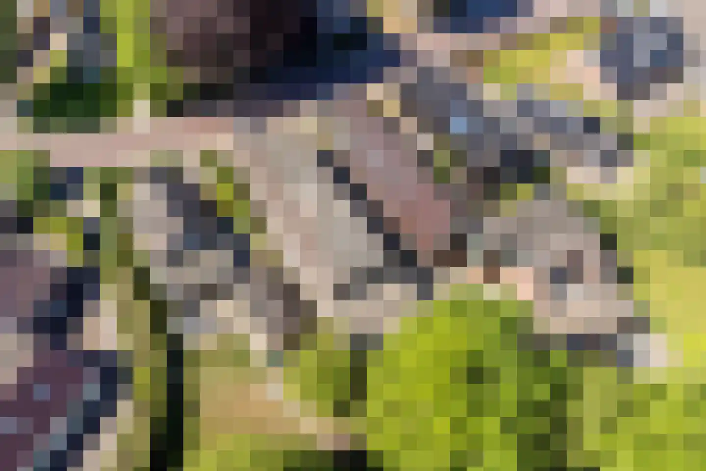 Schultestraat 2 Vries thumbnail 49
