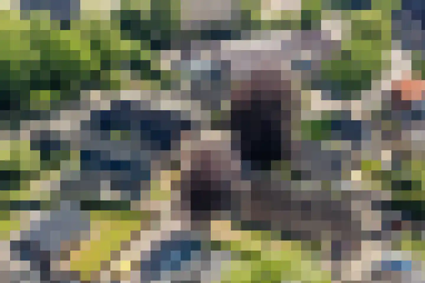 Schultestraat 2 Vries thumbnail 50