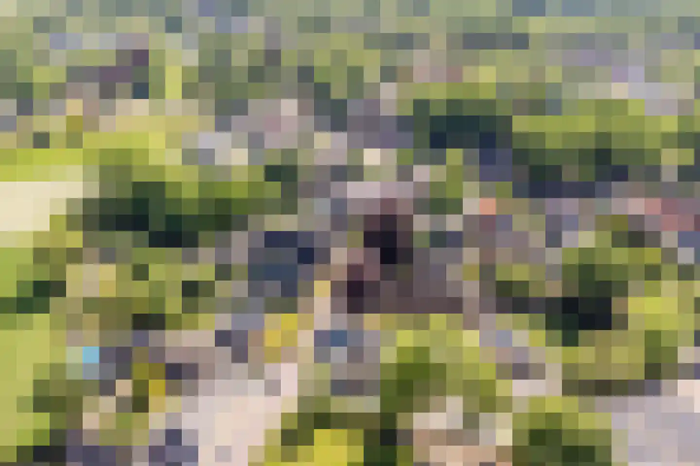 Schultestraat 2 Vries thumbnail 51
